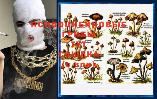 хмурый Лабытнанги