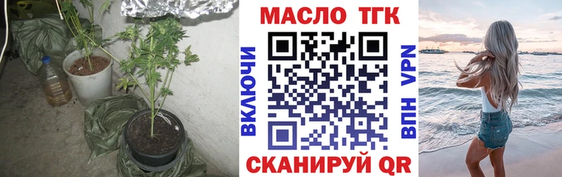 где продают наркотики  Малгобек  omg ТОР  ТГК жижа 