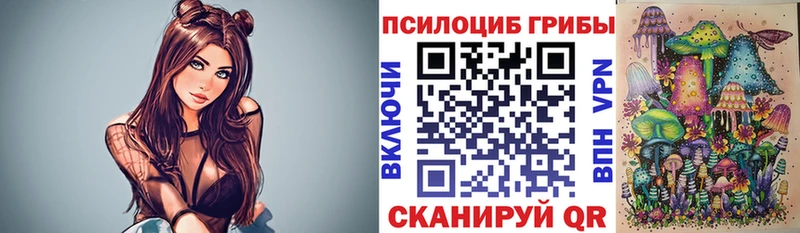 купить наркоту  ссылка на мегу маркетплейс  Галлюциногенные грибы GOLDEN TEACHER  Малгобек 
